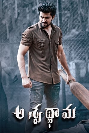 Aswathama 2020 (Hindi – Telugu) Dual Audio [960MB] HD Poster Download - Filmyzilla