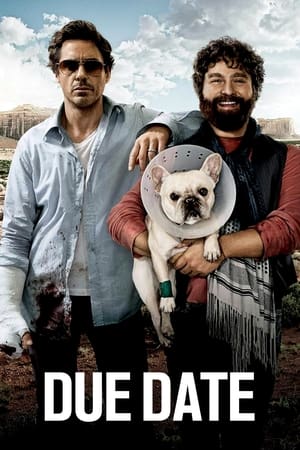 Due Date (2010) Hindi Dual Audio 300MB HD Poster Download - Filmyzilla