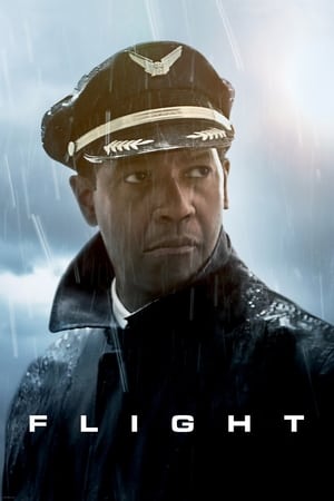 Flight (2012) Hindi Dual Audio 400MB HD Poster Download - Filmyzilla