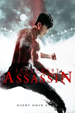 Legendary (2013) Hindi Dual Audio 480MB HD Poster Download - Filmyzilla