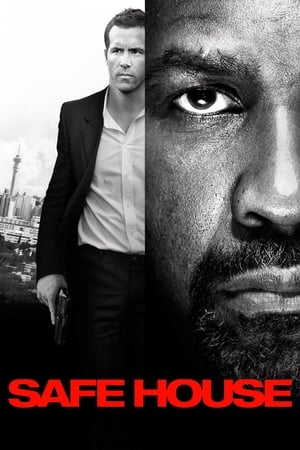 Safe House (2012) Hindi Dual Audio [1GB] HD Poster Download - Filmyzilla